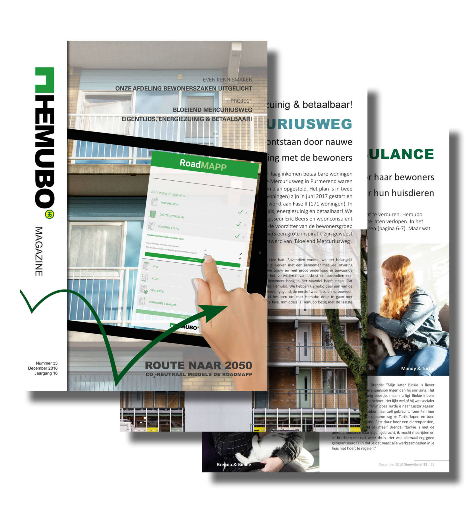 Post-nieuwsbrief-dec-2018-Hemubo