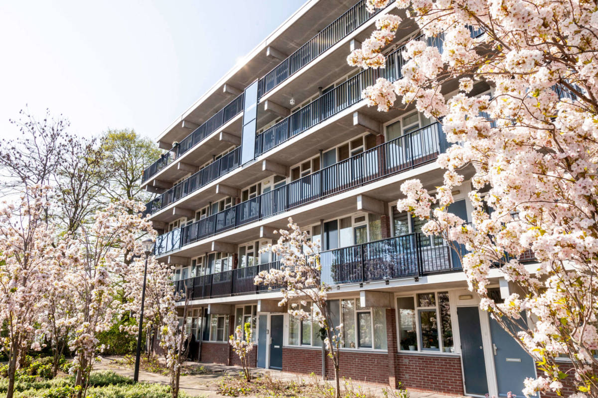 Aan de Bernadottelaan e.o. in Haarlem werken Elan Wonen en Hemubo samen aan onderhoud en isolerende verbeteringen aan vijf galerijflats. De ambitie is dat de in totaal 201 woningen, gebouwd in 1972, door de verduurzaming een energielabel A krijgen en klaar zijn voor een energieneutrale toekomst.