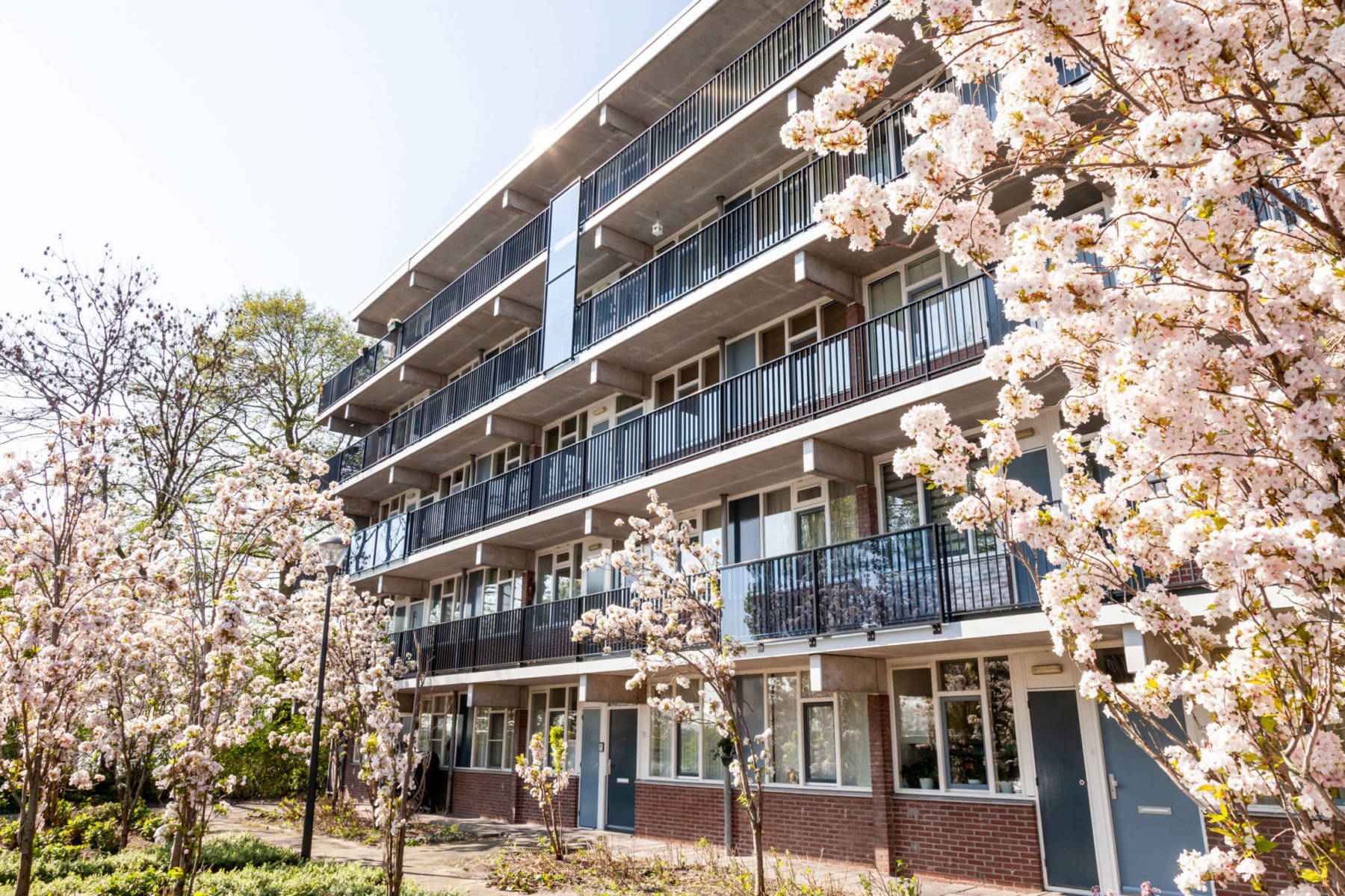 Elan Wonen_Bernadottelaan_Haarlem