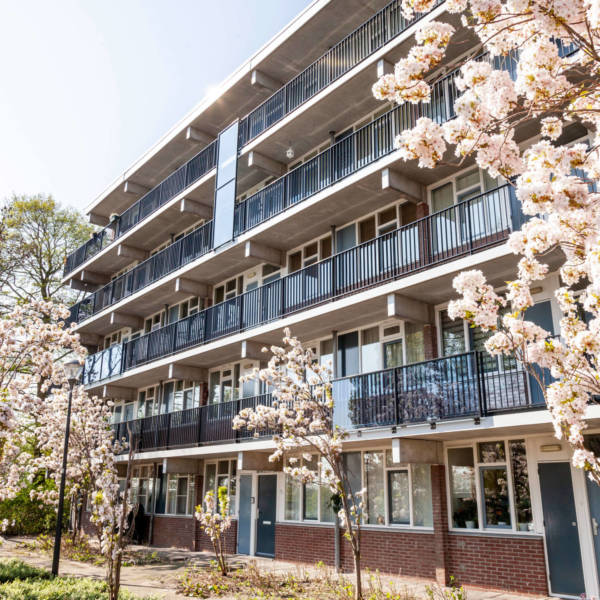 Elan Wonen_Bernadottelaan_Haarlem Elan Wonen_Bernadottelaan_Haarlem