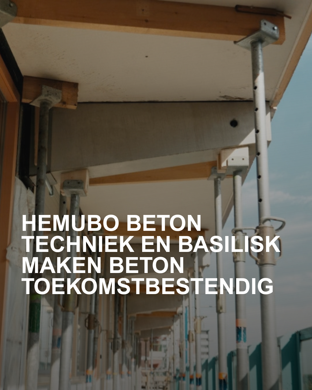 website afbeeldingen artikelen (1)